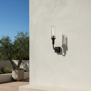 Outdoor wall-mounted gas tiki torch with a tall vertical flame, clear glass wind guard, black metal wall mount arm, and rectangular wall plate, designed for modern patio, garden, and exterior wall lighting using propane or natural gas.