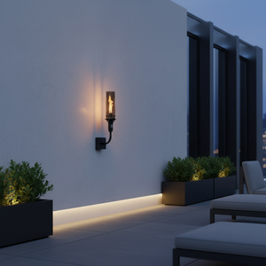 Outdoor wall-mounted gas tiki torch with a tall vertical flame, clear glass wind guard, black metal wall mount arm, and rectangular wall plate, designed for modern patio, garden, and exterior wall lighting using propane or natural gas.