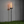 Torch-style outdoor light on grass with a plain wall background