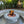 Fire pit with flames in a circular concrete basin surrounded by greenery
