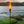 Vortek - TRIO COMBO - 2 Vortex Tiki Torches and 1 Table Torch 15% OFF SPECIAL